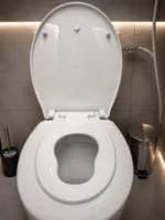 Abattant WC familial DADÉO D001 forme O