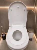 Abattant WC familial DADÉO D002 forme D